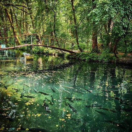 Янтарная Форель Bushtyno Luaran gambar